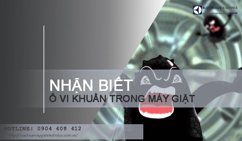 Ổ vi khuẩn trong máy giặt nào mấy ai biết đến?